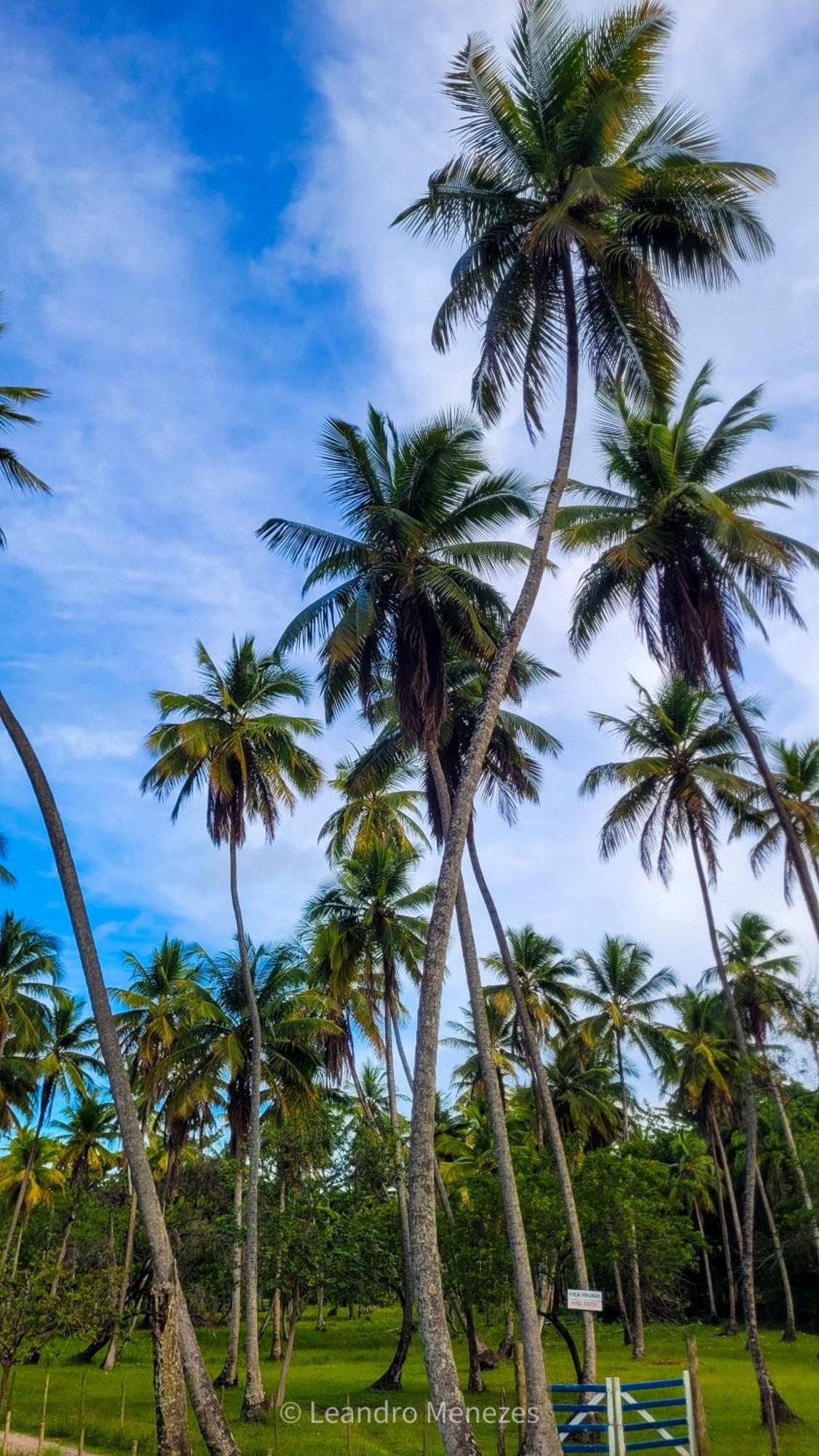 Boipeba